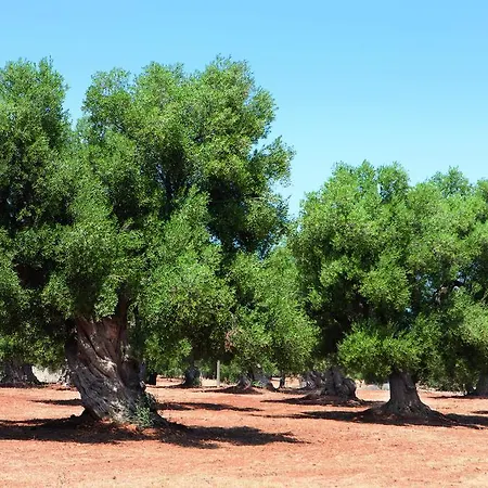 Apartment Bed Biancaneve Centro Storico