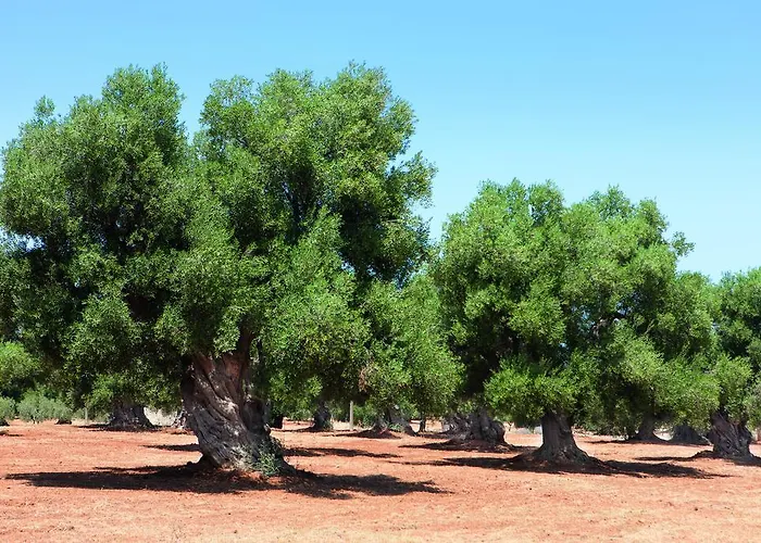 아파트 Bed Biancaneve Centro Storico