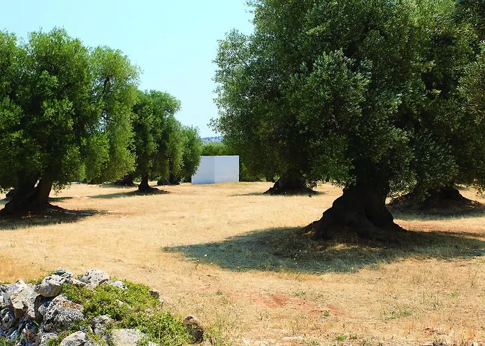 Bed Biancaneve Centro Storico *